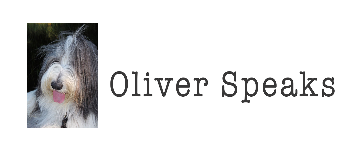Oliver Speaks blog